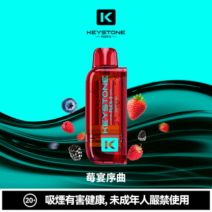 鑰石 25000口 換彈式【可視油倉＋1100毫安超大電池】買煙彈送主機